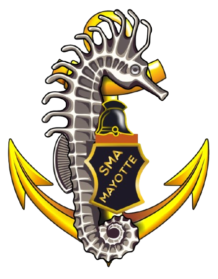 Lien vers la page Kalulu RSMA Mayotte